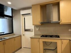 The Colonnade (D10), Condominium #466423341